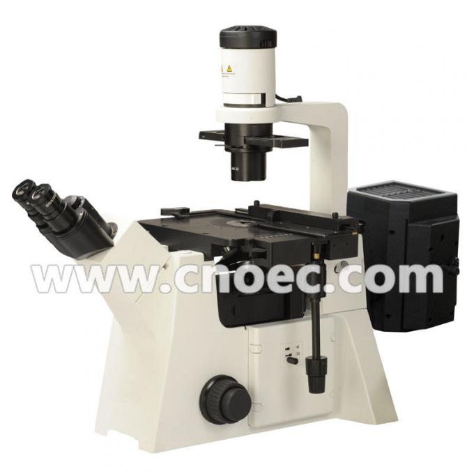 200X Epi Fluorescence Microscope Halogen Lamp A16.2702 100X 400X