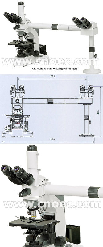 Biological Dual View Multi Viewing Microscope Rohs CE A17.1026-A