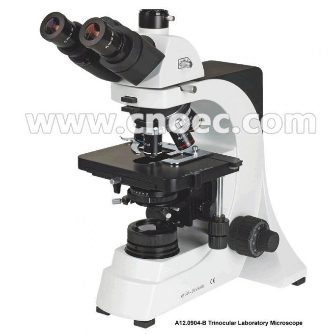 Color Corrected Phase Contrast Microscopes Student Fluorescent