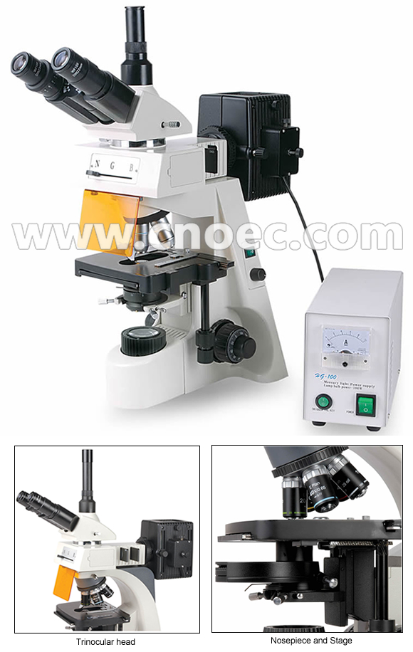 Fluorescent Microscope Trinocular Head 40 1000X with CE A16.1103