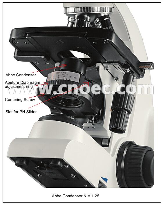 Infinity Plan Compound Optical Microscope with Halogen Lamp A12.2701 AP