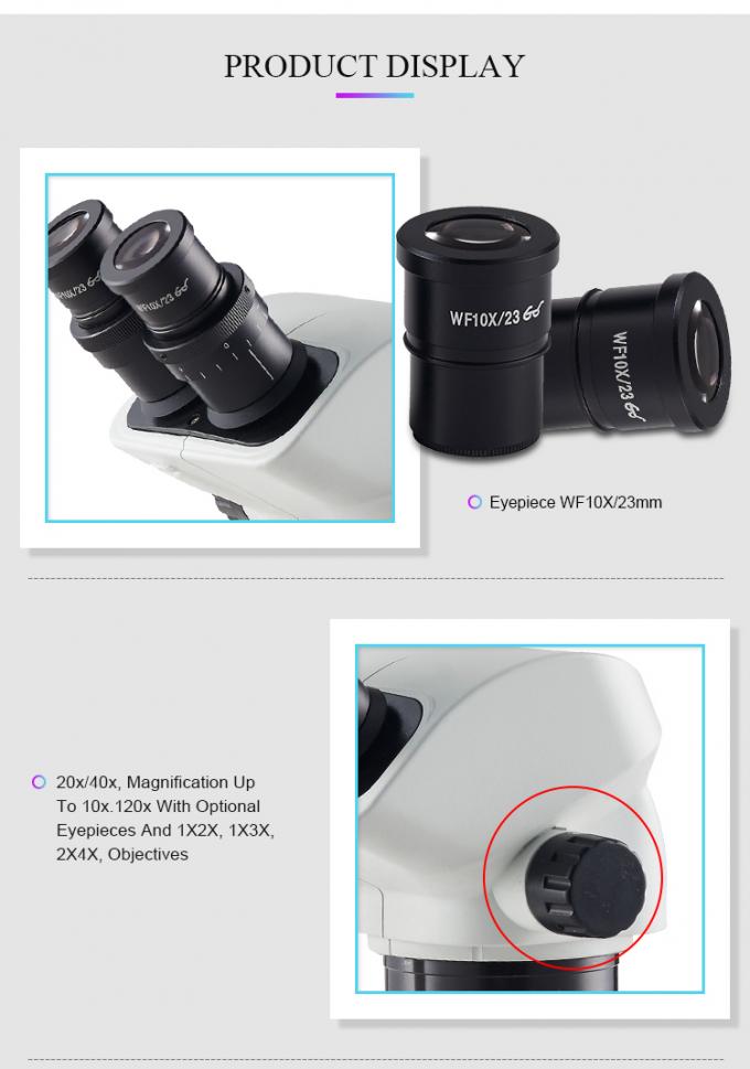 Eyepiece Stereo Optical Microscope Binocular Turret Objective Long
