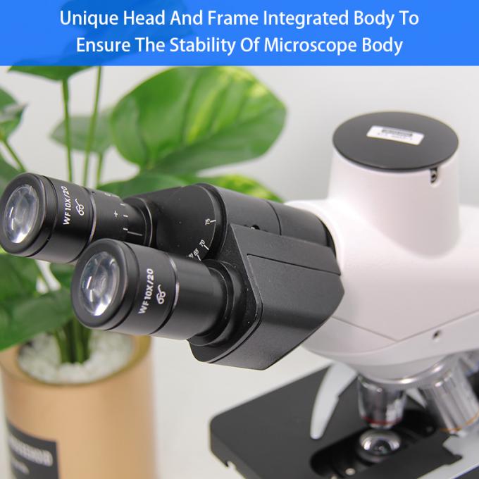 Student 1000X Compound Optical Microscope Laboratory Capillary Microscope