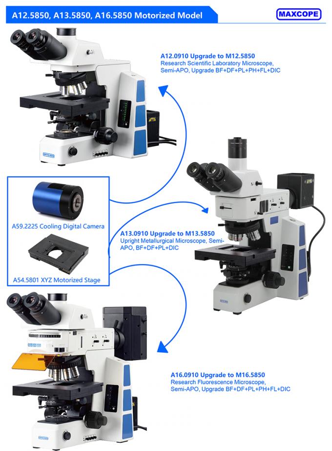 M12.5850 Compound Optical Microscope Biological Bf 2d Xyz Motorized