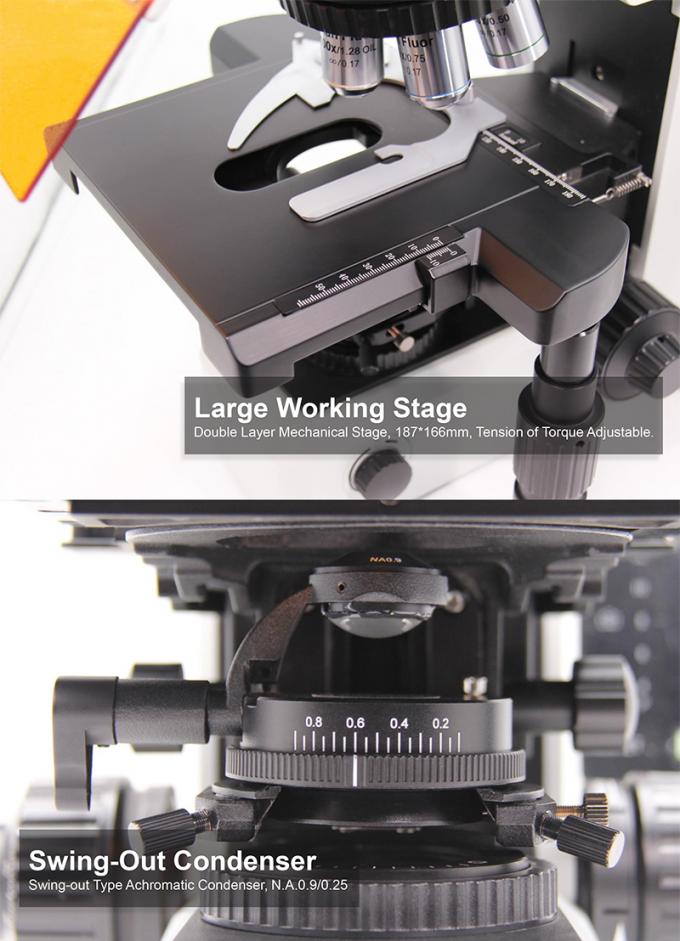 M12.5850 Compound Optical Microscope Biological Bf 2d Xyz Motorized