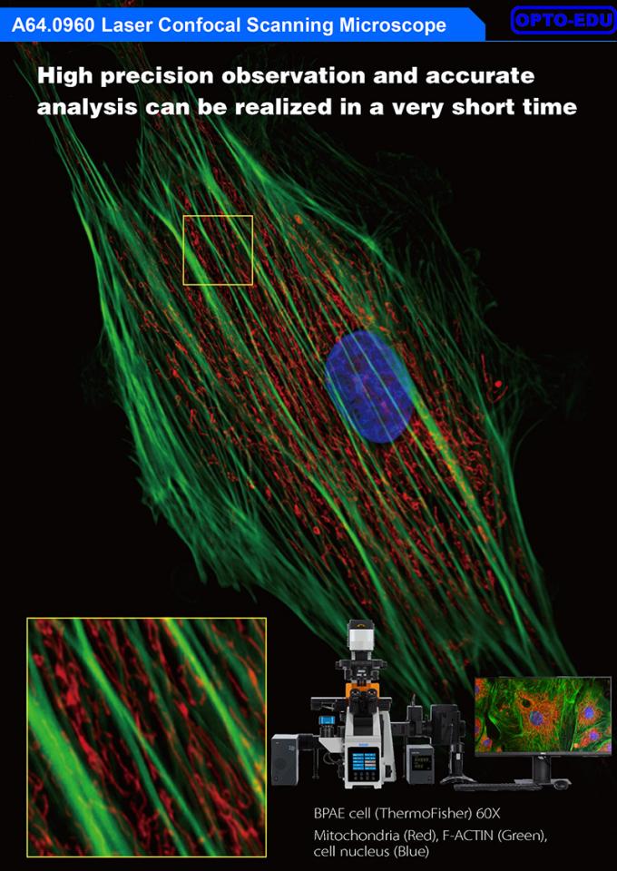 Opto Edu A64.0960 Laser Confocal Scanning Microscope Full Auto Motorized