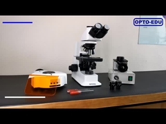 OPTO-EDU A16.2601 40x - 1000x LED Trinocular Fluorescence Microscope For Research / Learning