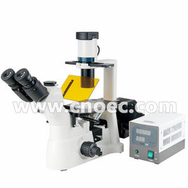 200X Laboratory Inverted Fluorescence Microscope Halogen Lamp Microscopes A16.0901