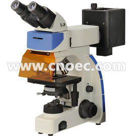 Binocular Epi - Reflected Led Fluorescence Microscope Light Source A16.2701
