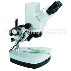 10X-40X Digital Stereo Microscope A32.1202 With Halogen Lamp And Coarse Focusing