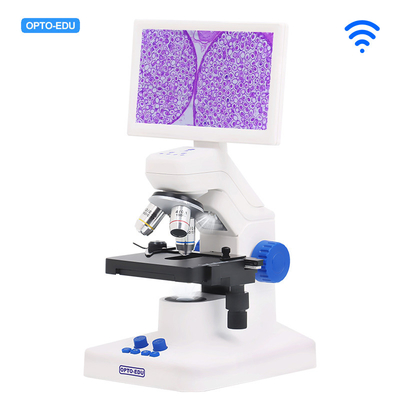 OPTO-EDU A33.5130 Digital Microscope with LED Lights Triple Nosepiece and 8MP Camera