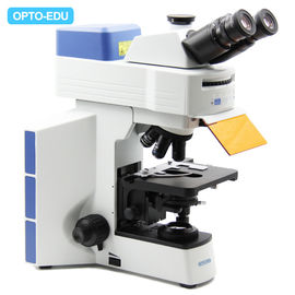 APO Objective Infinity Trinocular Fluorescence Microscope with Disc LED  A16.0908-L
