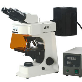 Fluorescence Microscope