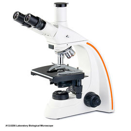 12V 20W Halogen Lamp Biological Microscope Binocular A12.0205 WF 10X Eyepiece