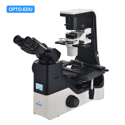 OPTO EDU A14.1065 Tilting Inverted Phase Contrast Microscope