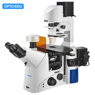 A16.1096 Inverted Fluorescent Opto Edu Microscope N-iPLFN PH Infinity Plan Semi-APO