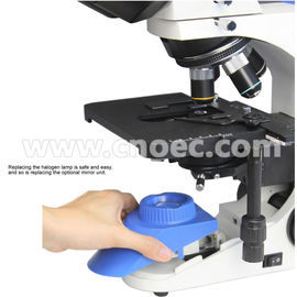 Infinity Compensation Wide Field Microscope A12.0302 Binocular Head , Y Style Body