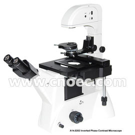 Infinity Objective Inverted Optical Microscope Phase Contrast Microscope  Bright Field A14.0203