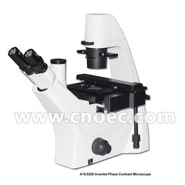 Trinocular LWD Objective Bright Field Inverted Phase Contrast Microscope 3W LED A19.0205