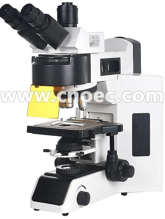 Infinity Trinocular Fluorescence Microscope With Disc LED  A16.4501