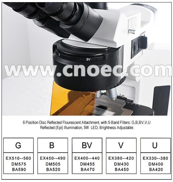 Infinity Trinocular Fluorescence Microscope With Disc LED  A16.4501