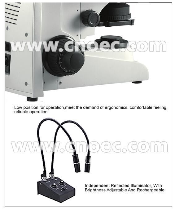 Infinity Plan Compound Optical Microscope with Halogen Lamp A12.2701- AP