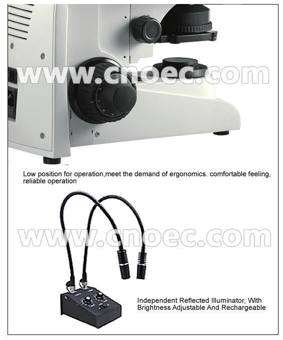 Infinity Plan Compound Optical Microscope with Halogen Lamp A12.2701- AP