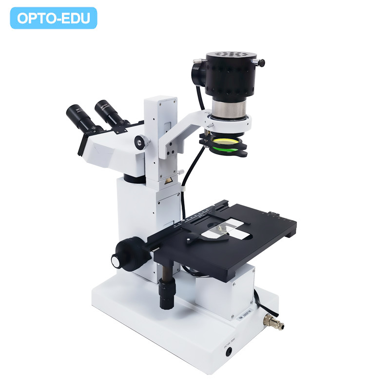 Opto Edu A14.0301 Inverted Optical Microscope Binocular 400x Abbe Condenser 12V 50W