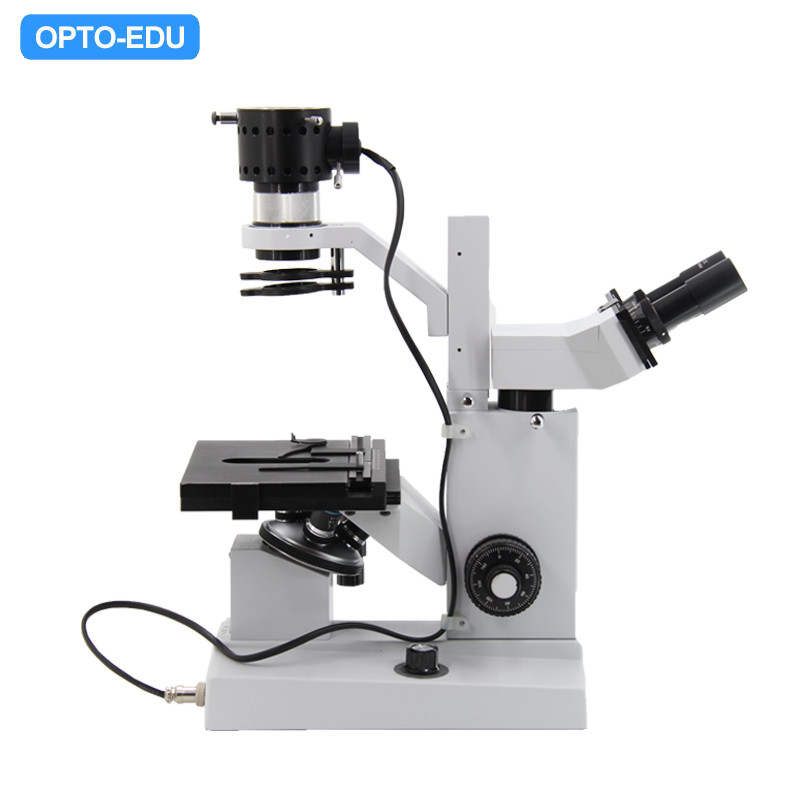 Opto Edu A14.0301 Inverted Optical Microscope Binocular 400x Abbe Condenser 12V 50W