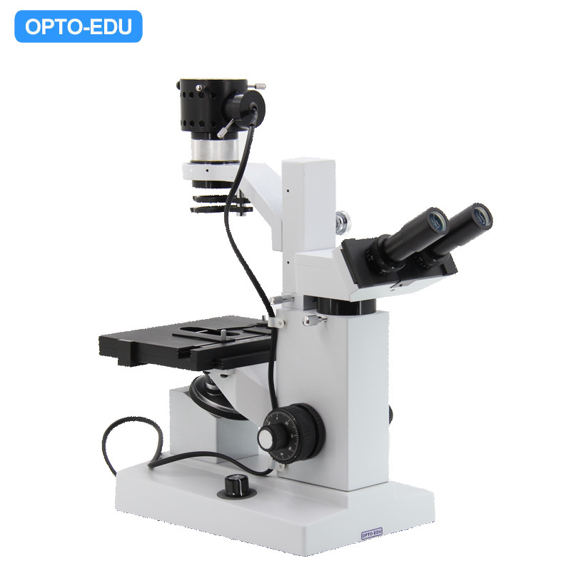 Opto Edu A14.0301 Inverted Optical Microscope Binocular 400x Abbe Condenser 12V 50W