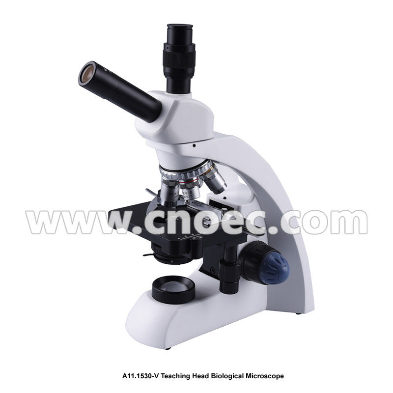 WF10X/18mm Finity Optical System Biological Microscope  A11.1530 With Double Layer Mechanical Stage