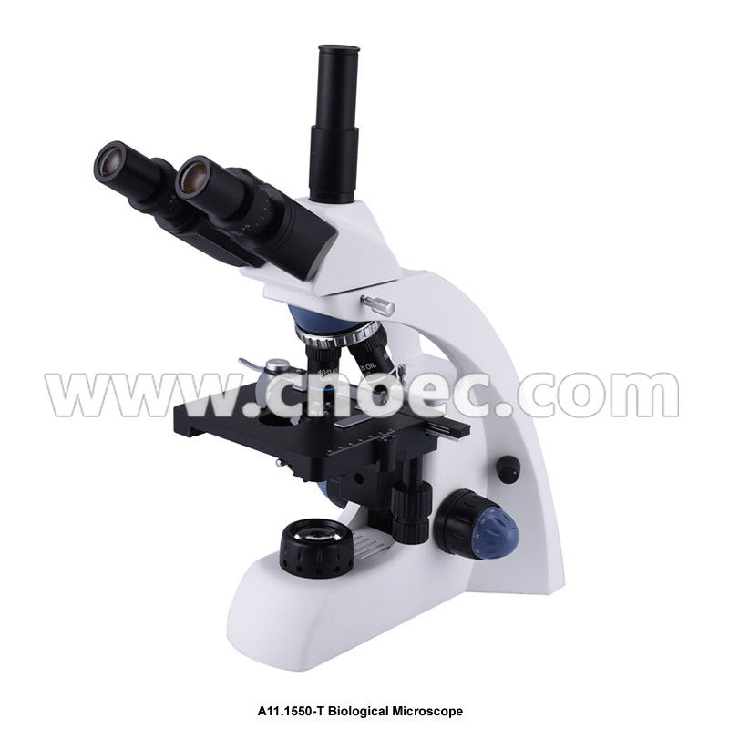 Finity Optical System WF10X/18mm Binocular Microscope A11.1550 With Halogm Lamp Illumination