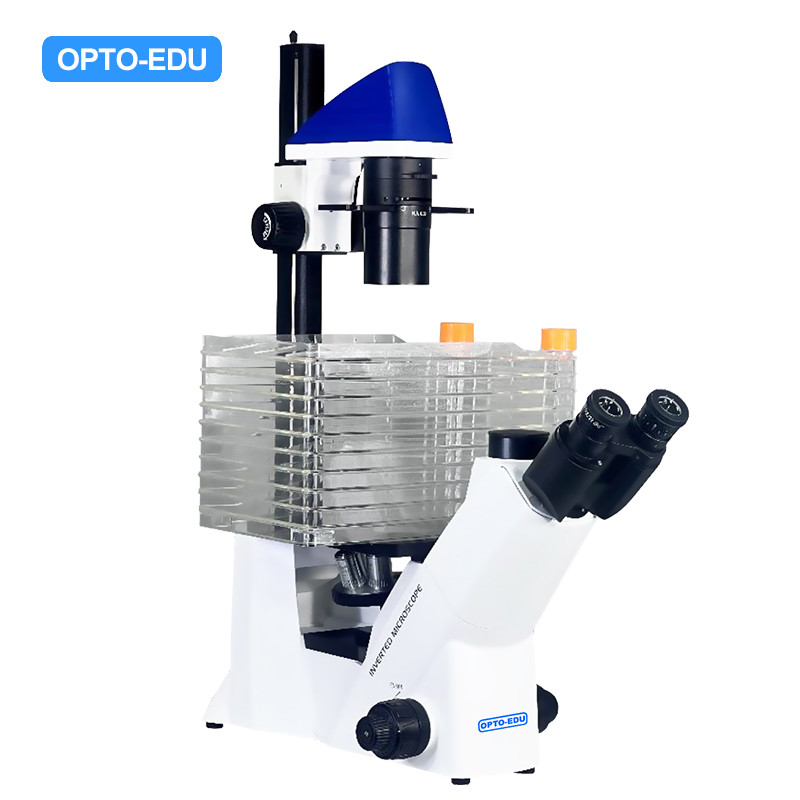 Opto-Edu A14.2604 Inverted Optical Trinocular Phase Contrast Cell Factory Microscope