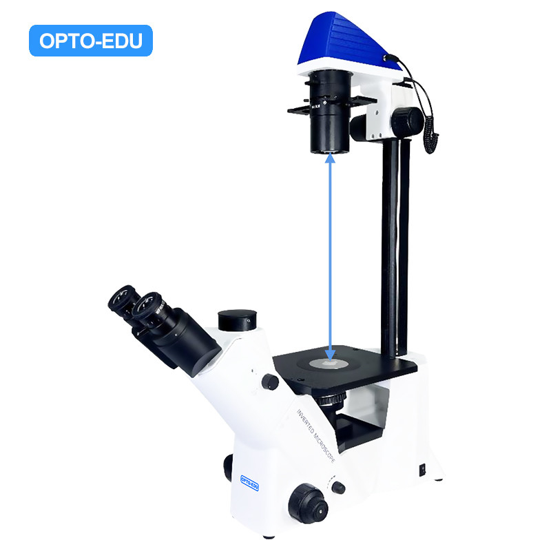 Opto-Edu A14.2604 Inverted Optical Trinocular Phase Contrast Cell Factory Microscope