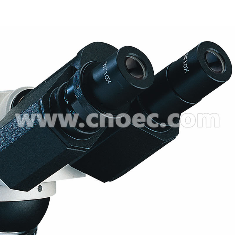 WF10X - 18mm Hobby Infinity Biological Microscope Binocular Head Microscopes A11.0209