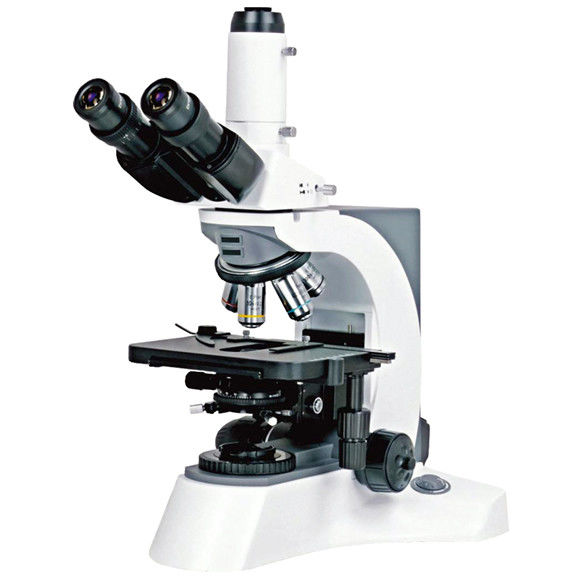 Student Compound Optical Microscope