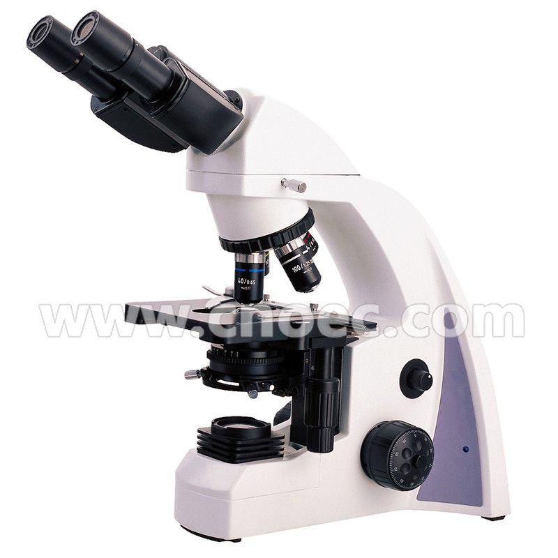 Student Compound Optical Microscope