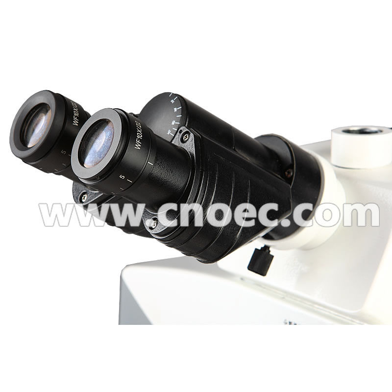 Motorized / Manual Forensic Comparison Microscope Binocular A18.1849