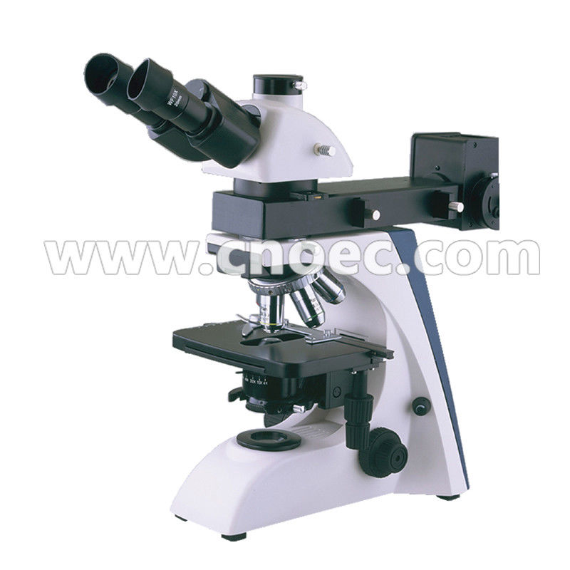 Learning Infinity Plan Microscope Trinocular Compound Microscopes Rohs A13.2604