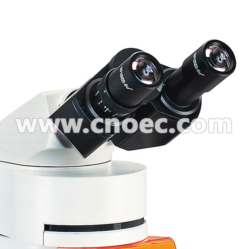 100X Wide Field Fluorescence Microscope Trinocular Compound Microscopes A16.0203