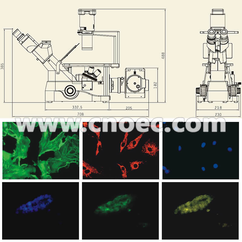 Laboratory Fluorescence Microscope