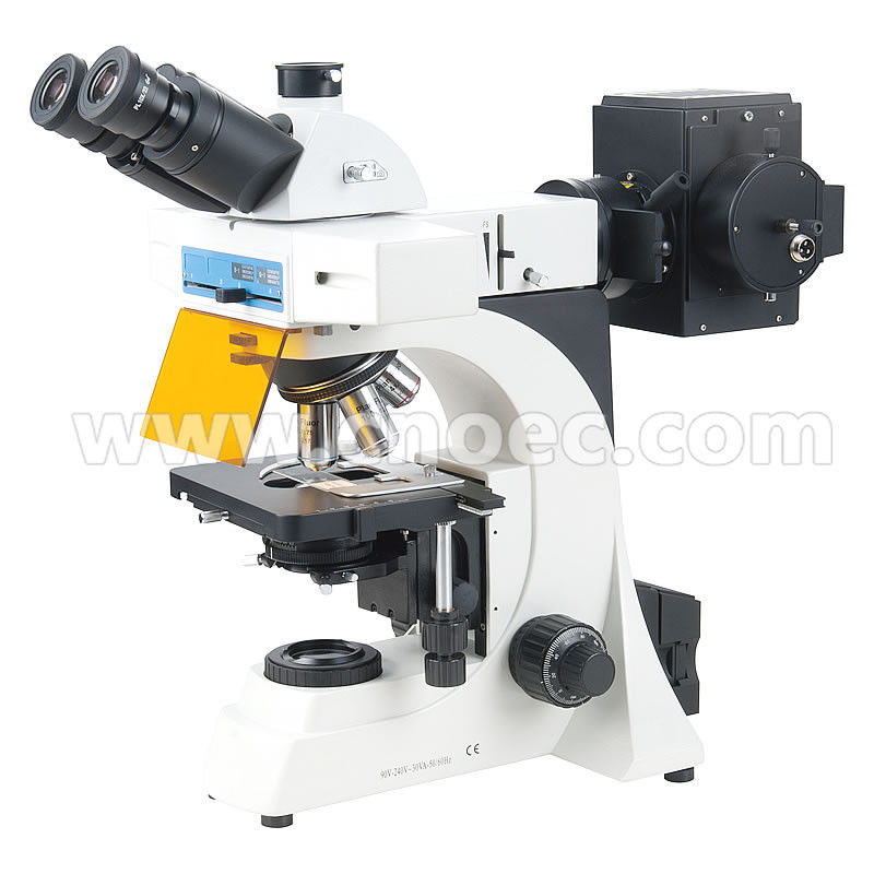 Trinocular Compensation Free Fluorescence Microscope Learning A16.0902