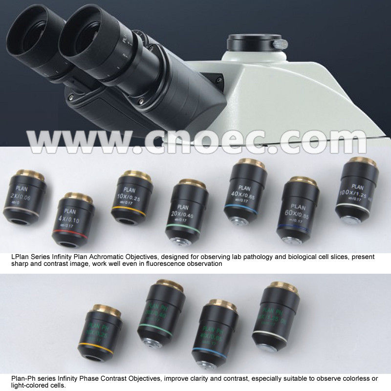 Infinity Plan LED Fluorescence Microscope 100X - 1000X A16.0907-BL