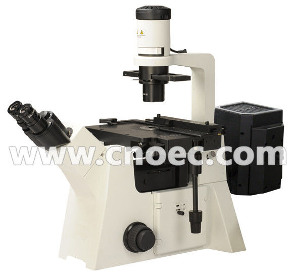 200X Epi - Fluorescence Microscope Halogen Lamp A16.2702 100X - 400X