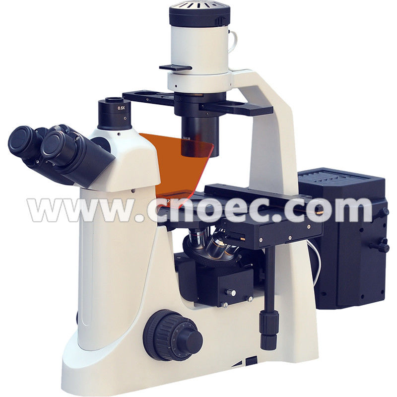 Learning Inverted Fluorescence Microscope Rohs CE A16.2703