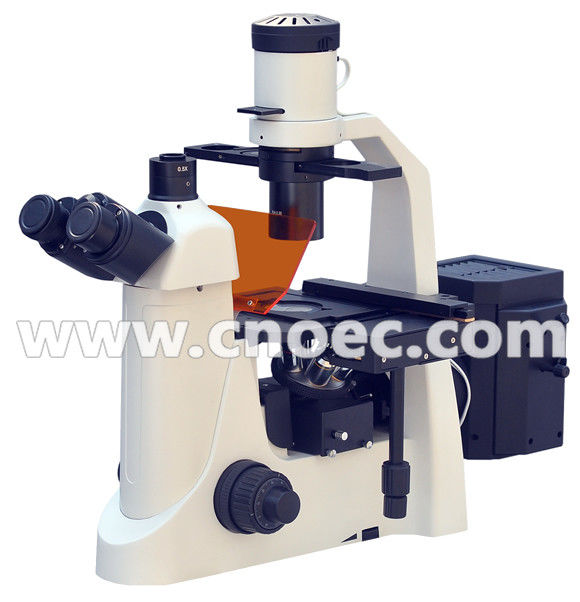 Learning Inverted Fluorescence Microscope Rohs CE A16.2703