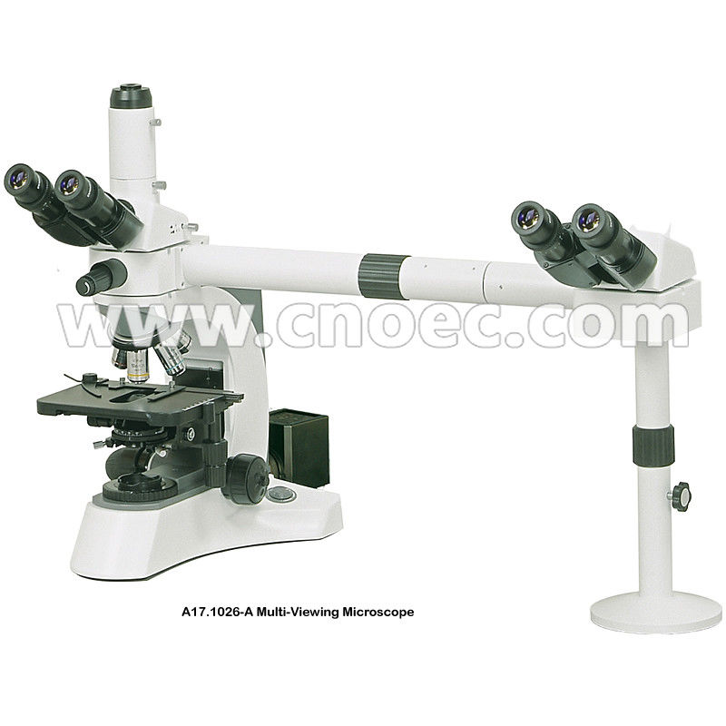 Dual View Multi Viewing Microscope