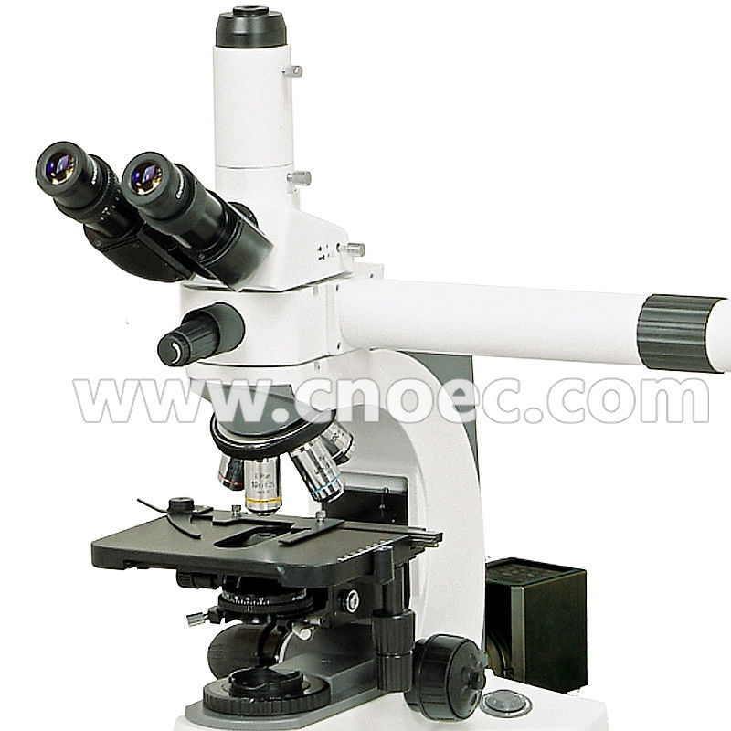 Multi Viewing Microscope A17.1026-B