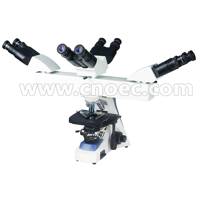 Optical Multi Viewing Microscope For Educational A17.1102-B