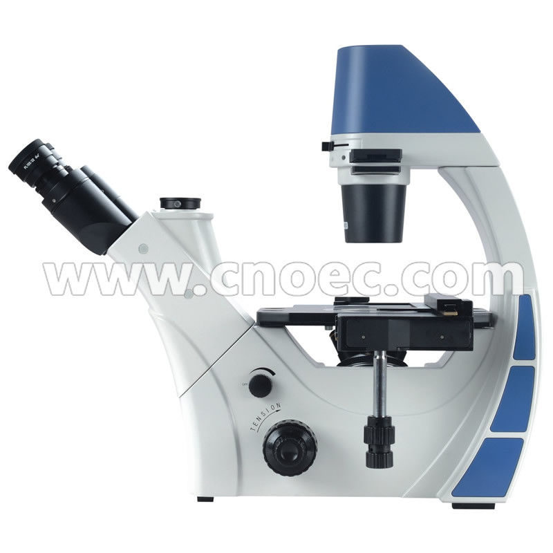 High Precision Binocular Phase Contrast Microscope For Research A19.0901